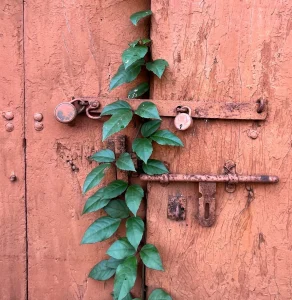 اثبات ماکیت ملک
